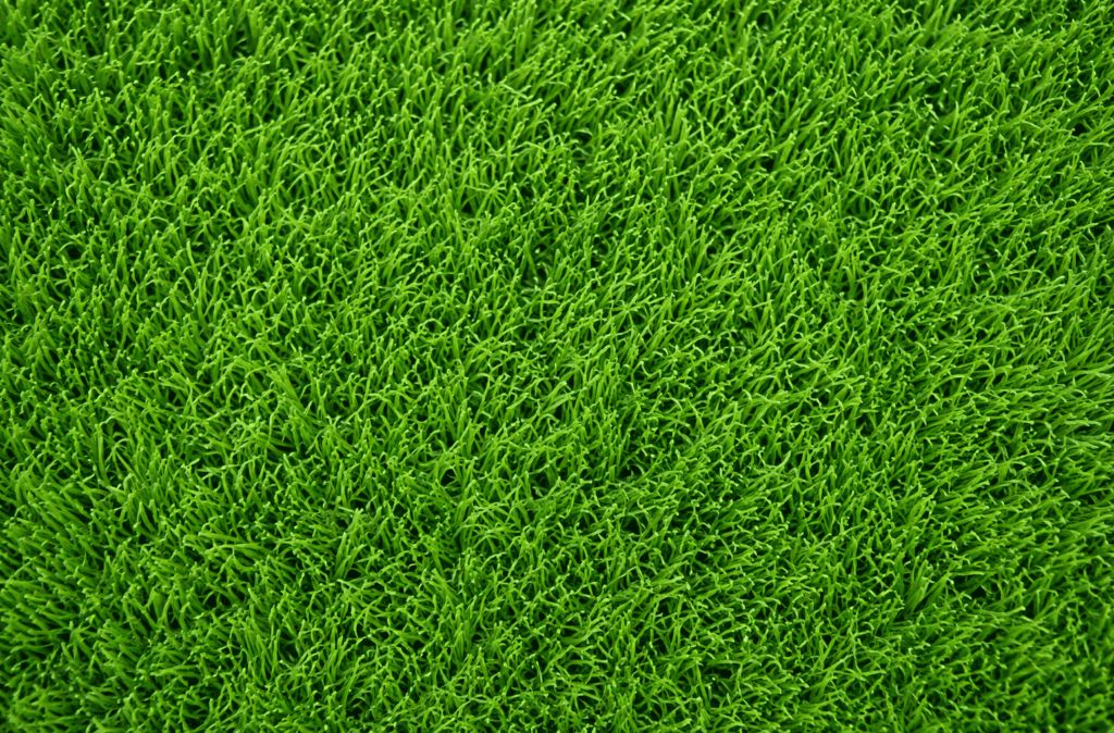 artificial grass rolls Bulawayo, artificial grass tiles Bulawayo, pet-friendly artificial grass Bulawayo, child-friendly artificial grass Bulawayo, UV resistant artificial grass Bulawayo, realistic artificial grass Bulawayo, low maintenance artificial grass Bulawayo, high density artificial grass Bulawayo, premium artificial grass Bulawayo, affordable artificial grass Bulawayo, artificial grass per square metre Bulawayo, artificial grass price Bulawayo, artificial grass Burnside Bulawayo, artificial lawn Burnside Bulawayo, synthetic grass Burnside Bulawayo, artificial turf installation Burnside Bulawayo, garden artificial grass Burnside Bulawayo, artificial grass Hillside Bulawayo, artificial lawn Hillside Bulawayo, synthetic turf Hillside Bulawayo, artificial grass suppliers Hillside Bulawayo, artificial grass installation Hillside Bulawayo, artificial grass Khumalo Bulawayo, artificial lawn Khumalo Bulawayo, synthetic turf Khumalo Bulawayo, artificial grass installation Khumalo Bulawayo, artificial grass Selborne Park Bulawayo, artificial lawn Selborne Park Bulawayo, synthetic grass Selborne Park Bulawayo, artificial turf Selborne Park Bulawayo