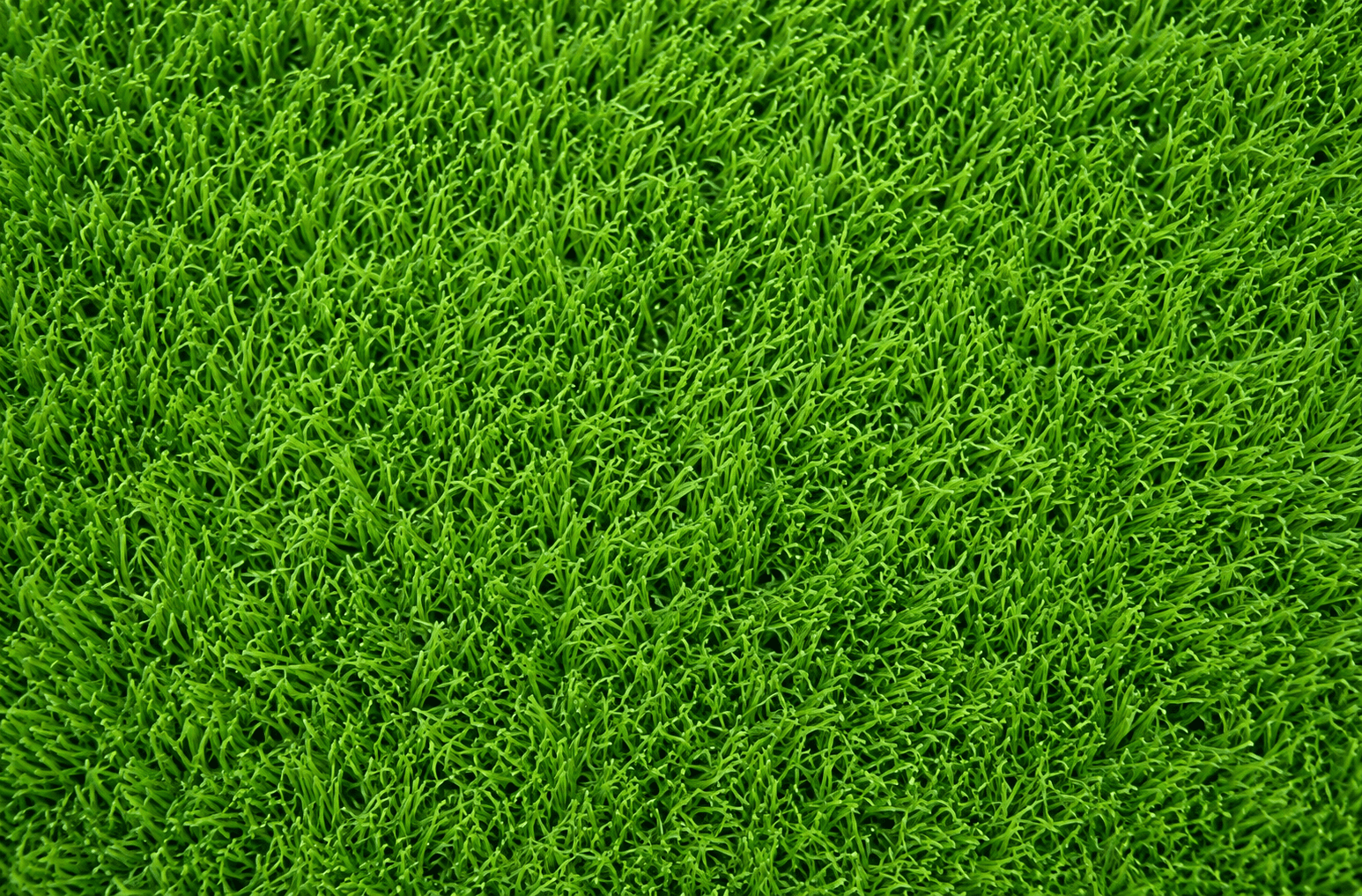 artificial grass rolls Bulawayo, artificial grass tiles Bulawayo, pet-friendly artificial grass Bulawayo, child-friendly artificial grass Bulawayo, UV resistant artificial grass Bulawayo, realistic artificial grass Bulawayo, low maintenance artificial grass Bulawayo, high density artificial grass Bulawayo, premium artificial grass Bulawayo, affordable artificial grass Bulawayo, artificial grass per square metre Bulawayo, artificial grass price Bulawayo, artificial grass Burnside Bulawayo, artificial lawn Burnside Bulawayo, synthetic grass Burnside Bulawayo, artificial turf installation Burnside Bulawayo, garden artificial grass Burnside Bulawayo, artificial grass Hillside Bulawayo, artificial lawn Hillside Bulawayo, synthetic turf Hillside Bulawayo, artificial grass suppliers Hillside Bulawayo, artificial grass installation Hillside Bulawayo, artificial grass Khumalo Bulawayo, artificial lawn Khumalo Bulawayo, synthetic turf Khumalo Bulawayo, artificial grass installation Khumalo Bulawayo, artificial grass Selborne Park Bulawayo, artificial lawn Selborne Park Bulawayo, synthetic grass Selborne Park Bulawayo, artificial turf Selborne Park Bulawayo
