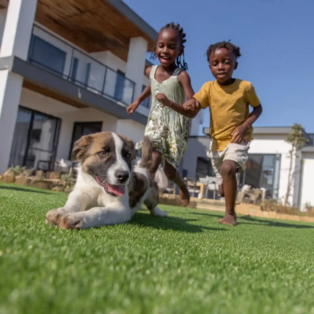 artificial grass for kids, artificial grass for pets, pet-friendly artificial grass Bulawayo, child-safe artificial grass Bulawayo, artificial turf safety, artificial grass Bulawayo, synthetic grass Bulawayo, artificial lawn Bulawayo, safe artificial grass for children, safe artificial turf for pets, family-friendly landscaping Bulawayo, artificial grass Zimbabwe, pet-safe landscaping Zimbabwe, kid-friendly lawns Bulawayo, artificial turf for families, non-toxic artificial grass, lead-free artificial grass, soft artificial grass for playgrounds, playground artificial turf Bulawayo, artificial grass for play areas, pet-friendly lawn solutions, durable artificial grass Bulawayo, low-maintenance lawns Bulawayo, artificial grass installation Bulawayo, synthetic turf installation Zimbabwe, artificial grass benefits for families, artificial grass vs natural grass, artificial grass for dogs, artificial turf for pets, artificial grass for backyards, family garden landscaping Bulawayo, outdoor play areas Bulawayo, pet-friendly gardens Zimbabwe, child-friendly gardens Bulawayo, artificial grass maintenance Bulawayo, clean artificial grass for pets, mud-free lawns Bulawayo, allergy-friendly artificial grass, artificial grass drainage system, pet waste-friendly artificial turf, artificial grass hygiene, safe outdoor surfaces for children, cushioned artificial grass, artificial turf playground safety, UV-resistant artificial grass Zimbabwe, premium artificial grass Bulawayo, artificial grass suppliers Bulawayo, synthetic lawn experts Zimbabwe, residential artificial grass Bulawayo, artificial grass for schools, artificial grass for daycare centres, artificial turf for parks, backyard play areas Bulawayo, safe landscaping solutions Zimbabwe, modern family gardens Bulawayo, artificial grass cost Bulawayo, best artificial grass for pets, best artificial grass for children, year-round green lawns Bulawayo, eco-friendly artificial grass, water-saving lawn solutions, pet and child-friendly outdoor spaces, artificial grass landscaping Bulawayo, durable family lawns Zimbabwe, low-allergen lawn alternatives, clean and safe garden surfaces, landscaping for families Bulawayo, synthetic grass for active households, artificial lawn safety guide, Bulawayo landscaping services, Zimbabwe artificial turf solutions.