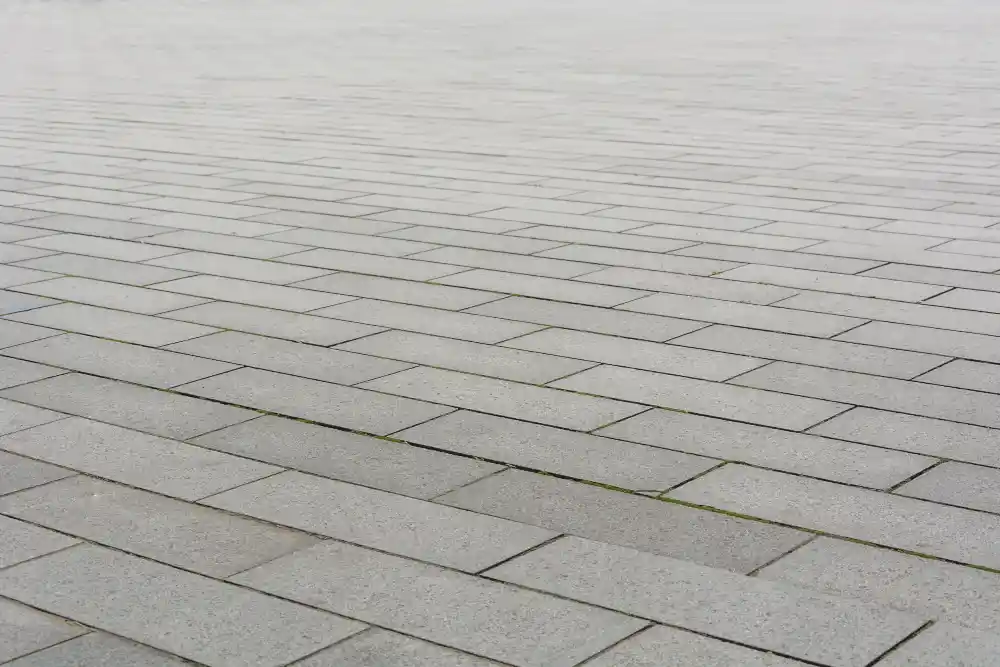 driveway paving cost Bulawayo, driveway paving cost Zimbabwe, driveway paving Bulawayo, driveway paving Zimbabwe, paving contractors Bulawayo, paving companies Bulawayo, driveway installation Bulawayo, residential paving Bulawayo, brick paving Bulawayo, concrete paving Bulawayo, interlocking pavers Bulawayo, driveway paving prices Bulawayo, paving cost per square metre Zimbabwe, affordable driveway paving Bulawayo, driveway paving quote Bulawayo, paving services Bulawayo, driveway renovation Bulawayo, driveway resurfacing Bulawayo, driveway construction Bulawayo, paving contractors Zimbabwe, driveway paving guide Bulawayo, paving materials Zimbabwe, brick driveway cost Bulawayo, concrete driveway cost Zimbabwe, interlocking paving cost Bulawayo, driveway paving estimates Bulawayo, driveway paving near me Bulawayo, durable driveway paving Zimbabwe, driveway paving solutions Bulawayo, paving and landscaping Bulawayo, driveway drainage solutions Bulawayo, driveway maintenance Bulawayo, paving installation costs Zimbabwe, driveway upgrades Bulawayo, driveway paving specialists Bulawayo, custom driveway paving Bulawayo, commercial paving Bulawayo, paving for homes Bulawayo, driveway paving services Zimbabwe, Tusker Civils driveway paving, Bulawayo paving experts, driveway paving contractors Bulawayo, quality paving Bulawayo, paving design ideas Bulawayo, driveway paving project cost, paving companies Zimbabwe, driveway paving consultation Bulawayo, driveway paving trends 2026, driveway paving investment Bulawayo, best driveway paving options Bulawayo.