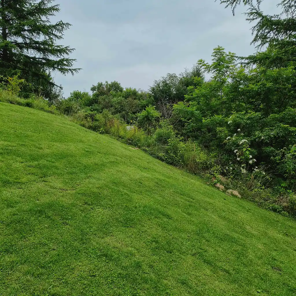 Artificial grass installed on a sloped Bulawayo garden helping prevent soil erosion and creating a neat, green landscape.