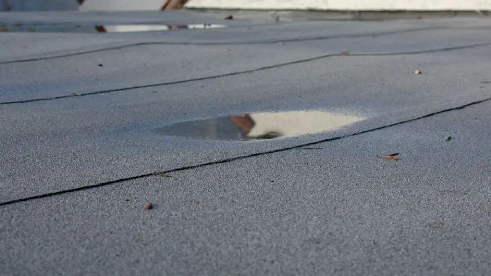 flat roof leaks in Zimbabwe, flat roof leak repair Bulawayo, causes of flat roof leaks, flat roof waterproofing Zimbabwe, roof leak repair Bulawayo, ponding water on flat roofs, flat roof flashing repair, flat roof drainage problems, UV damage on flat roofs, flat roof membrane repair, roof waterproofing contractors Bulawayo, flat roof waterproofing cost Zimbabwe, how to stop a leaking flat roof, bitumen roof waterproofing Zimbabwe, liquid waterproofing membrane for flat roofs, flat roof maintenance tips Zimbabwe